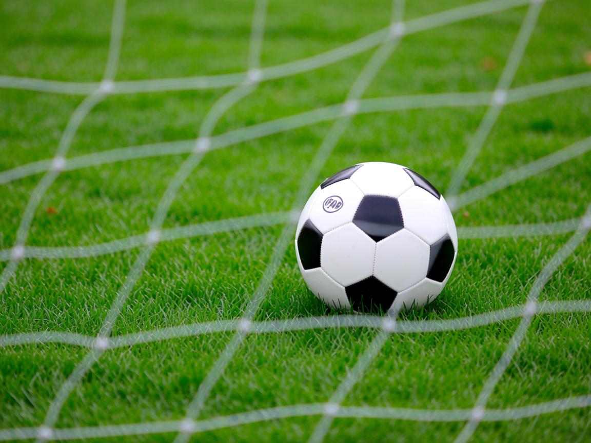 九游娱乐-2026世界杯商业影响全面解读