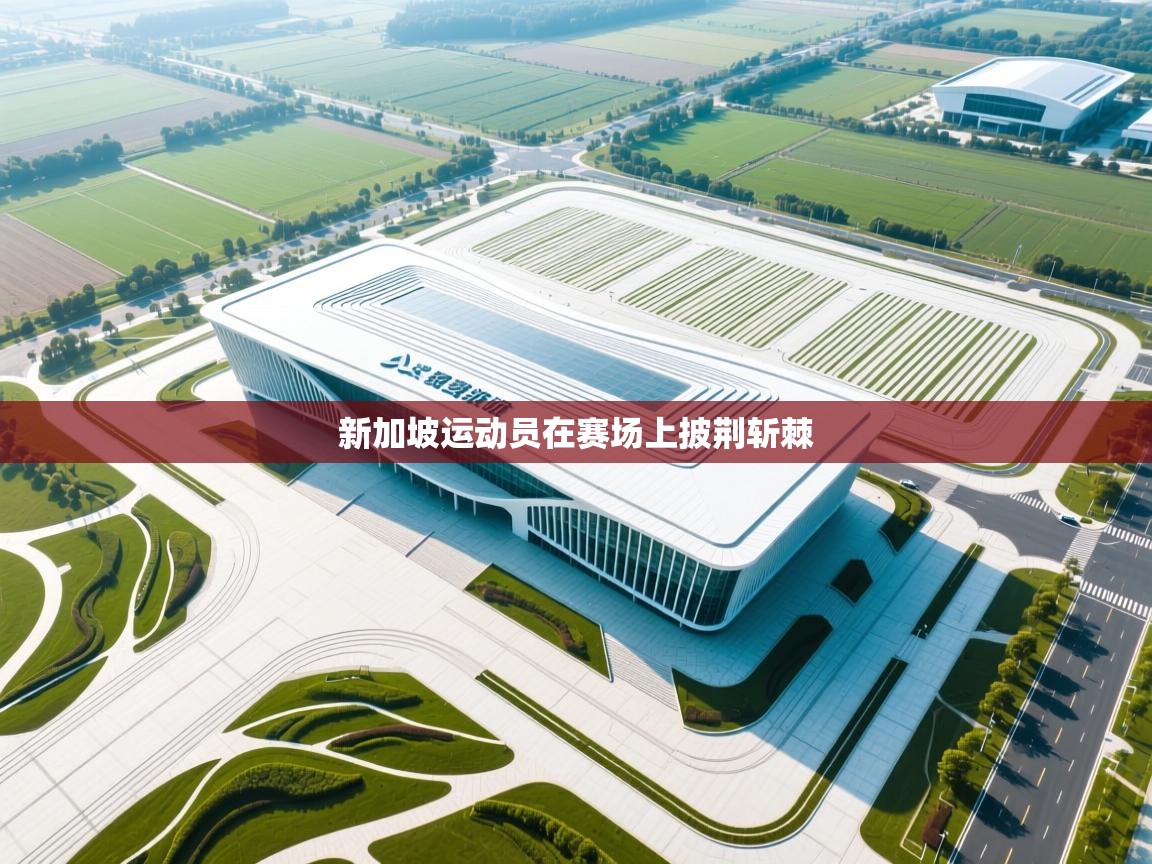 新加坡运动员在赛场上披荆斩棘  第1张